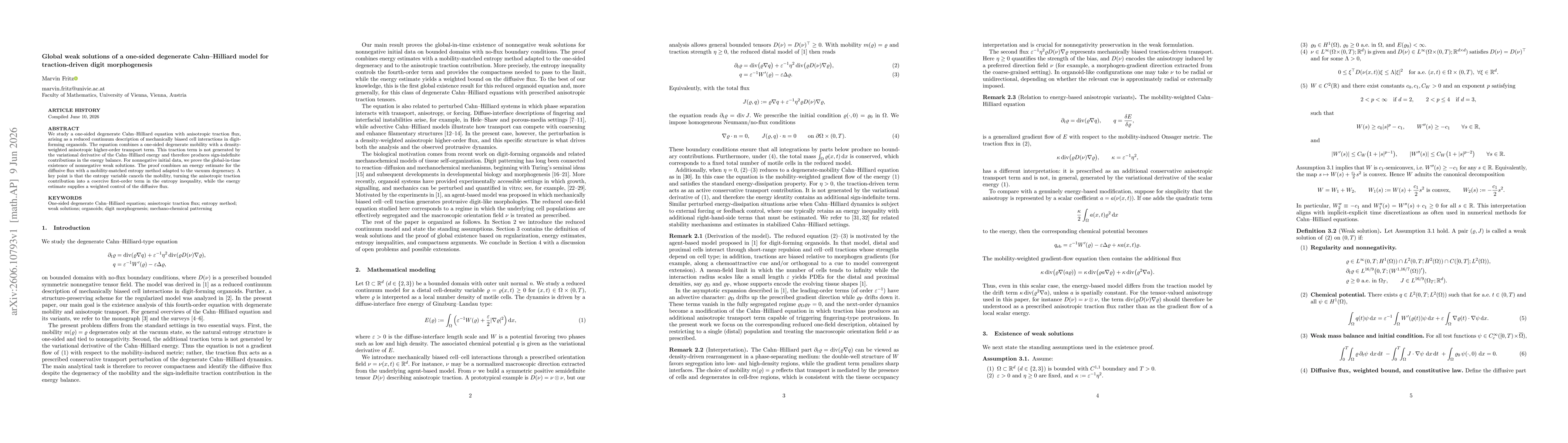 Thumbnail for Global weak solutions of a one-sided degenerate Cahn-Hilliard model for traction-driven digit morphogenesis