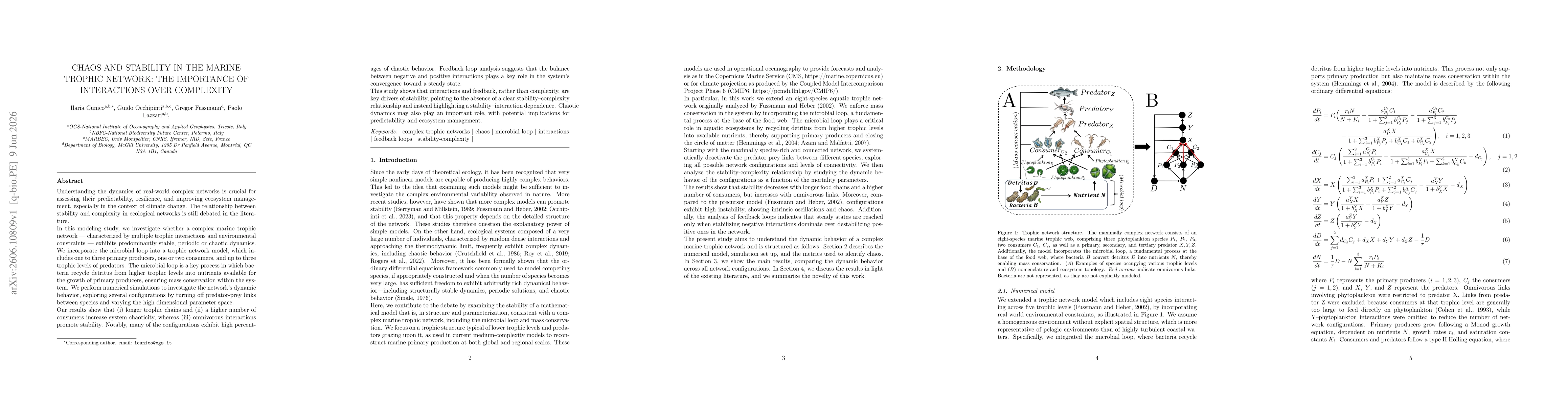 Thumbnail for Chaos and stability in the marine trophic network: the importance of interactions over complexity