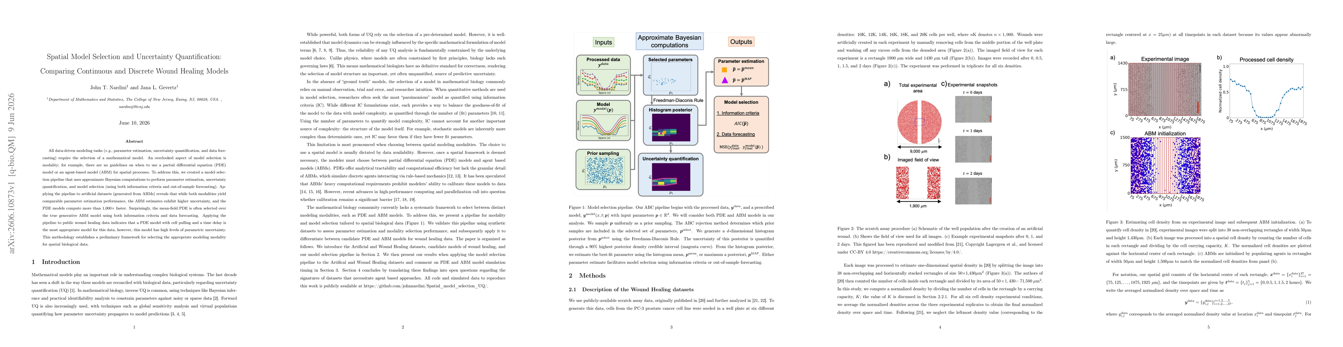 Thumbnail for Spatial Model Selection and Uncertainty Quantification: Comparing Continuous and Discrete Wound Healing Models