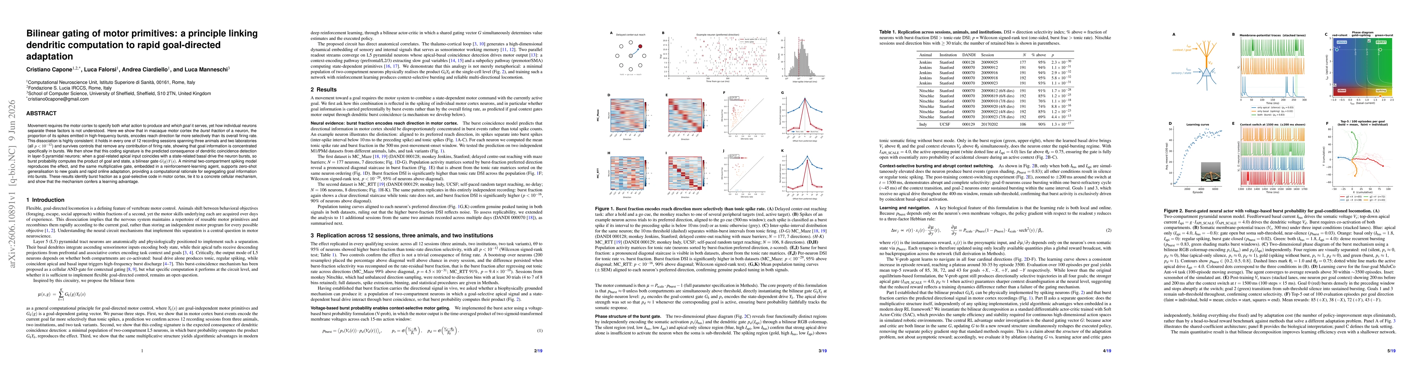 Thumbnail for Bilinear gating of motor primitives: a principle linking dendritic computation to rapid goal-directed adaptation