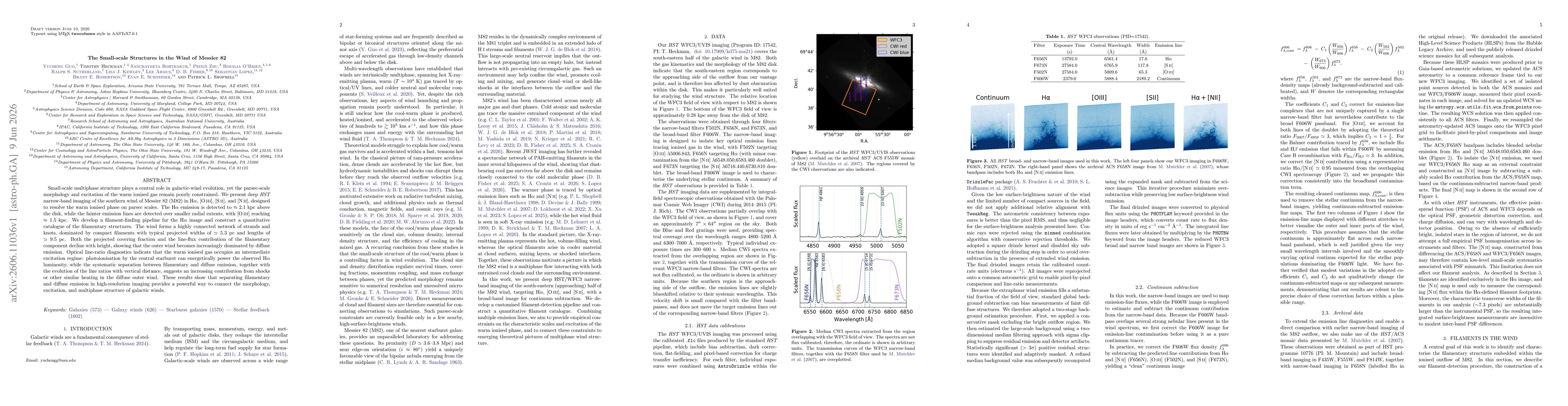 Thumbnail for The Small-scale Structures in the Wind of Messier 82