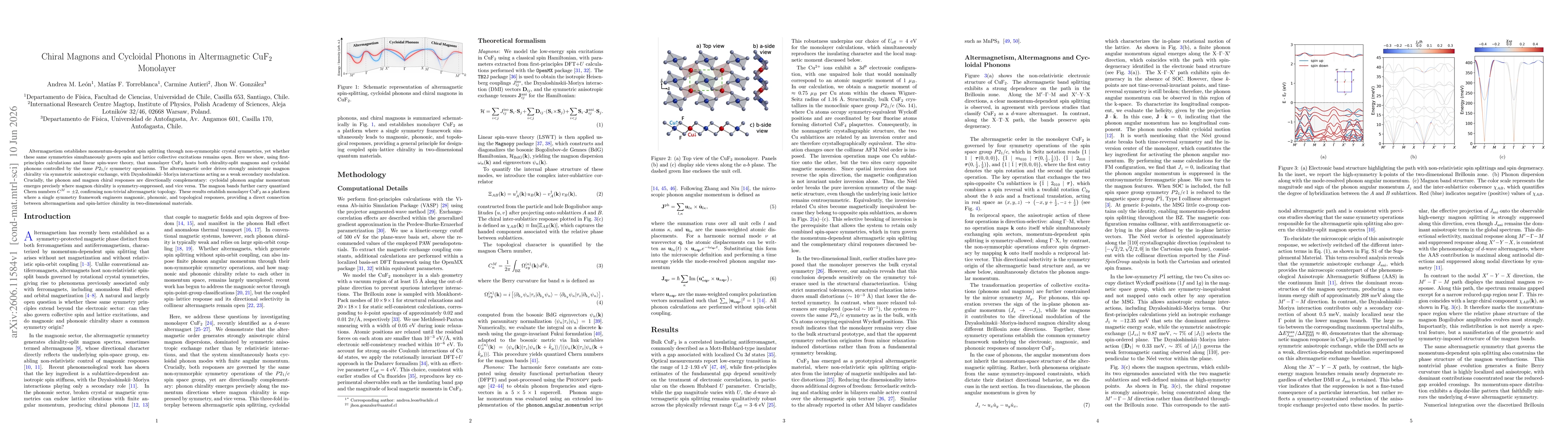 Thumbnail for Chiral Magnons and Cycloidal Phonons in Altermagnetic CuF$_{2}$ Monolayer