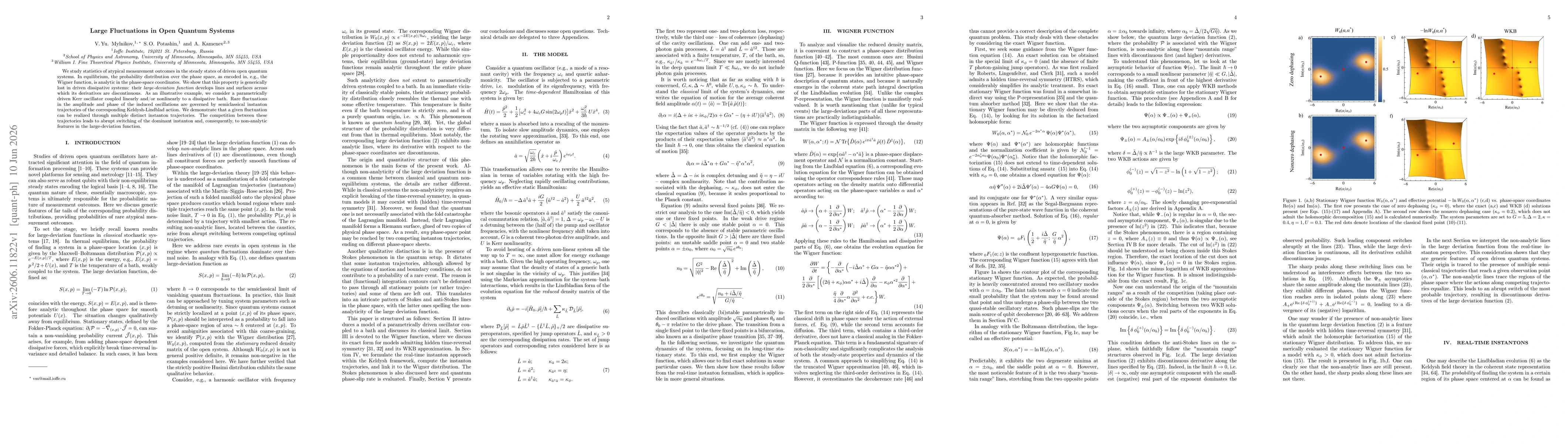 Thumbnail for Large Fluctuations in Open Quantum Systems