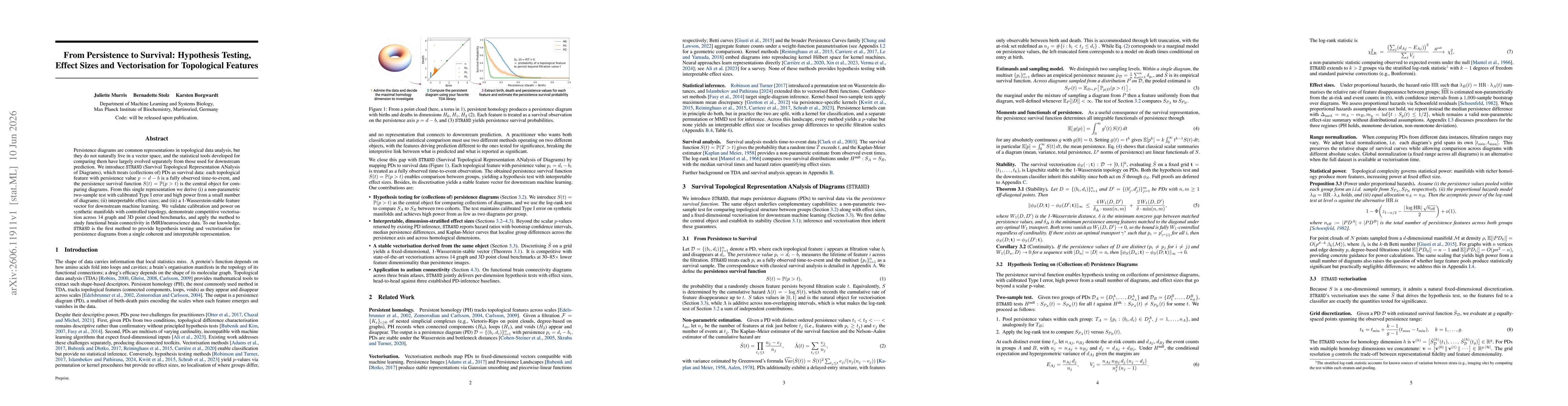 Thumbnail for From Persistence to Survival: Hypothesis Testing, Effect Sizes and Vectorisation for Topological Features