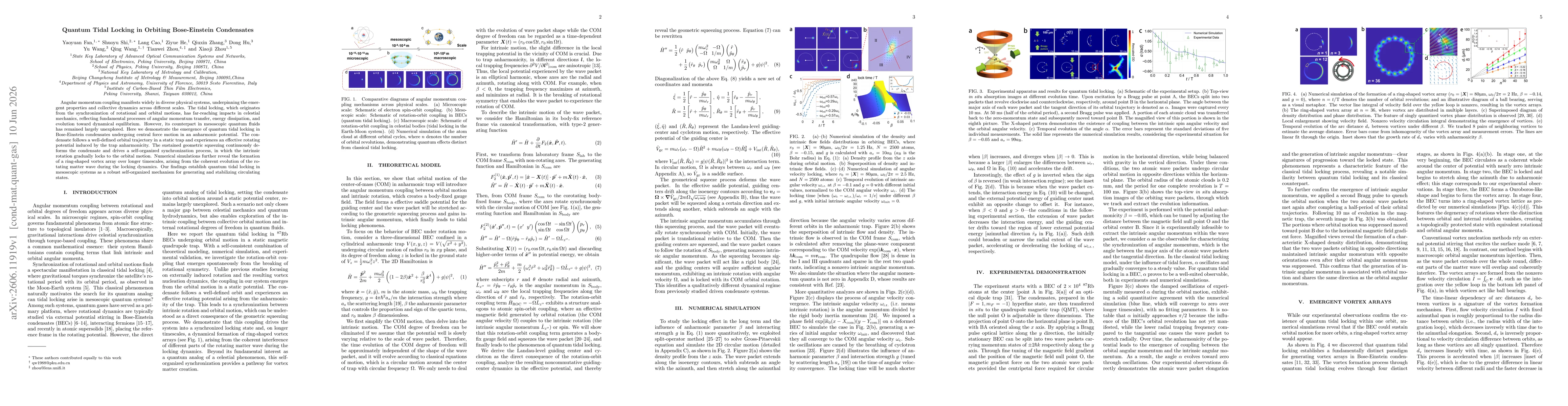 Thumbnail for Quantum tidal locking in orbiting Bose-Einstein condensates