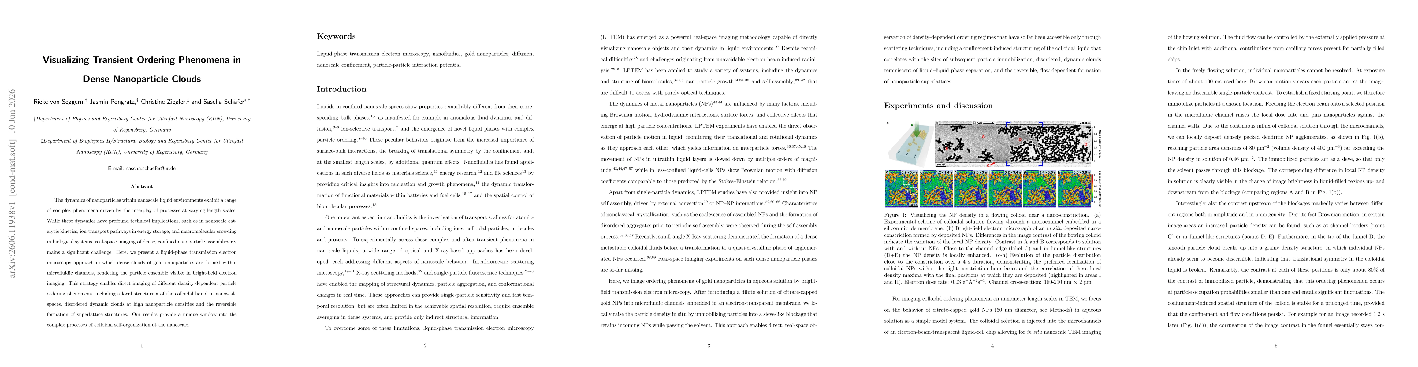 Thumbnail for Visualizing Transient Ordering Phenomena in Dense Nanoparticle Clouds