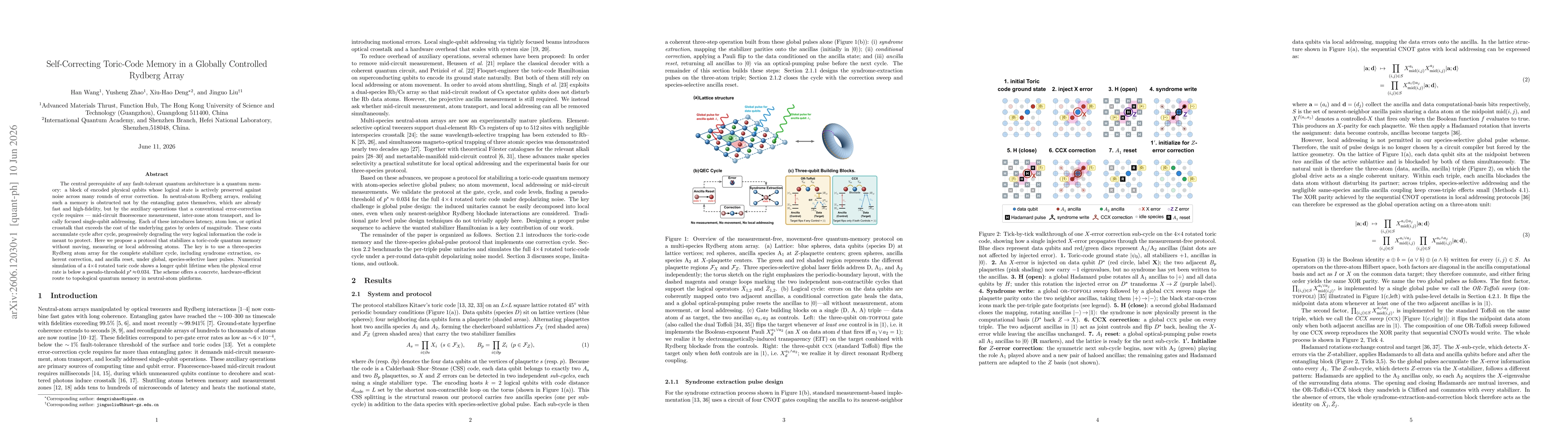 Thumbnail for Measurement-Free Toric-Code Memory in Array Globally Controlled Rydberg Array