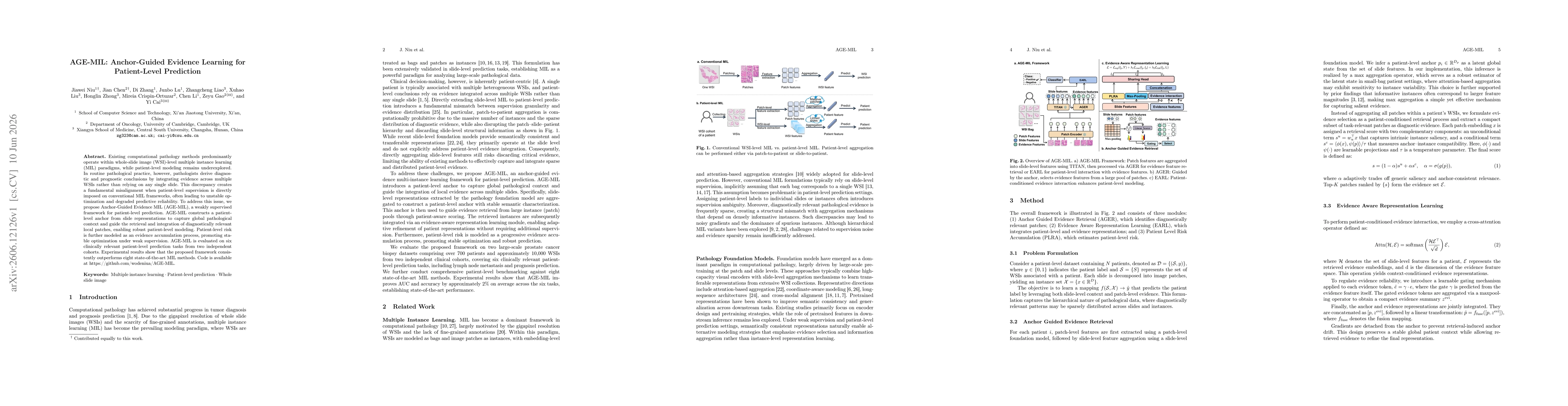 Thumbnail for AGE-MIL: Anchor-Guided Evidence Learning for Patient-Level Prediction