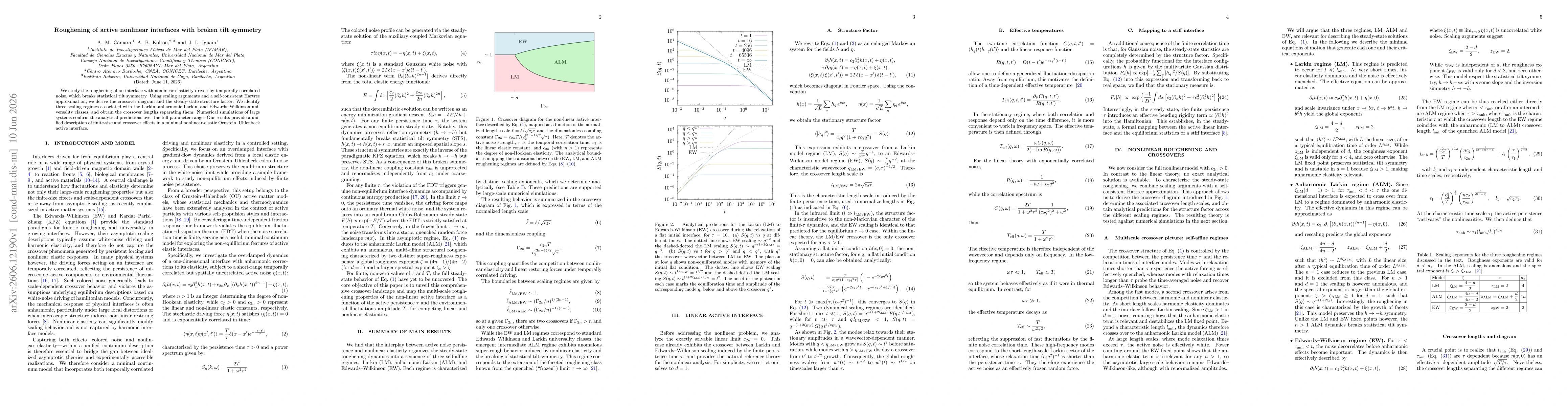 Thumbnail for Roughening of active nonlinear interfaces with broken tilt symmetry