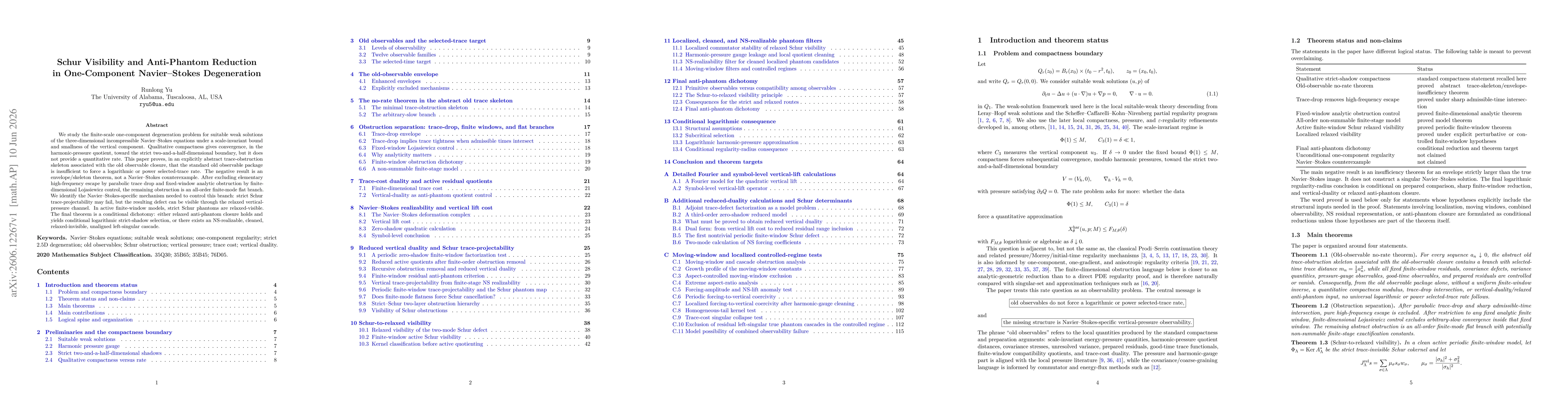 Thumbnail for Schur Visibility and Anti-Phantom Reduction in One-Component Navier-Stokes Degeneration