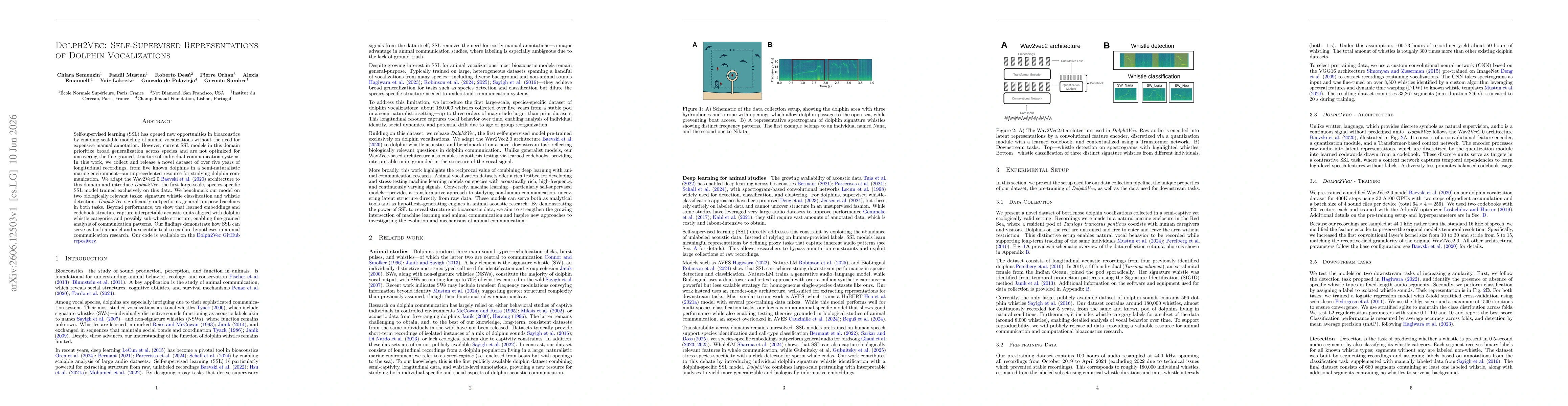 Thumbnail for Dolph2Vec: Self-Supervised Representations of Dolphin Vocalizations