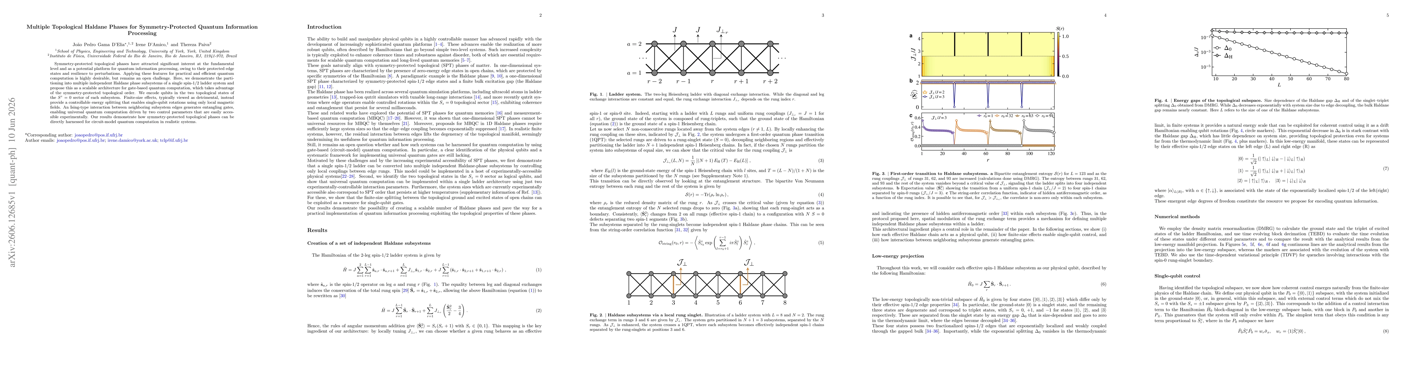 Thumbnail for Multiple Topological Haldane Phases for Symmetry-Protected Quantum Information Processing