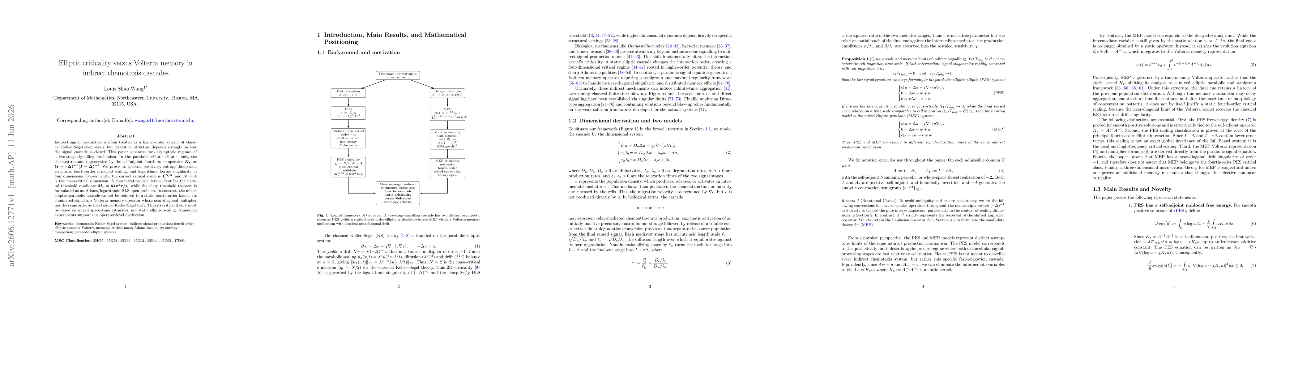 Thumbnail for Elliptic criticality versus Volterra memory in indirect chemotaxis cascades