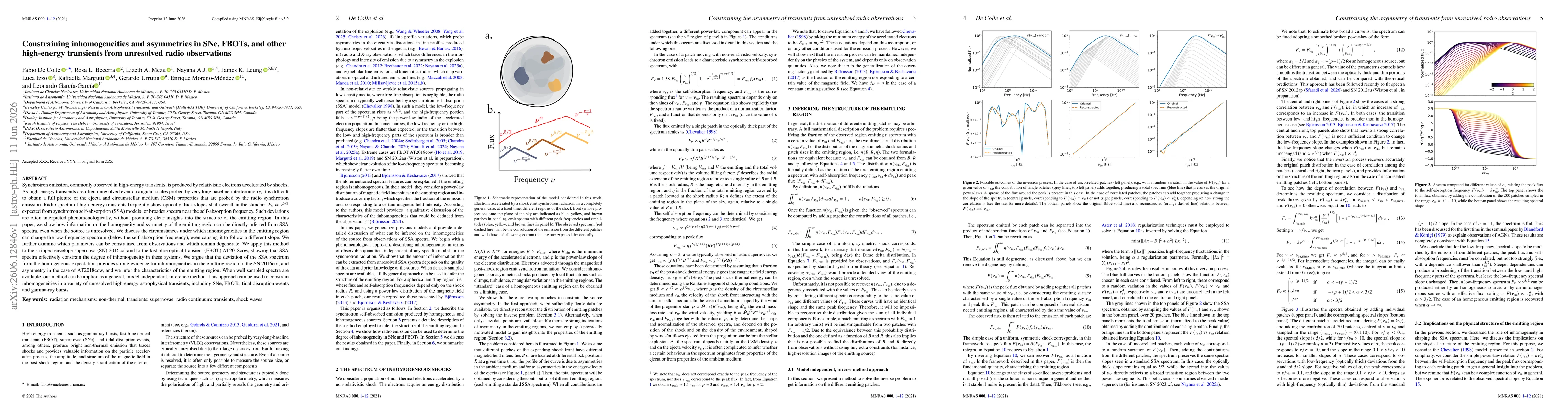 Thumbnail for Constraining inhomogeneities and asymmetries in SNe, FBOTs, and other high-energy transients from unresolved radio observations