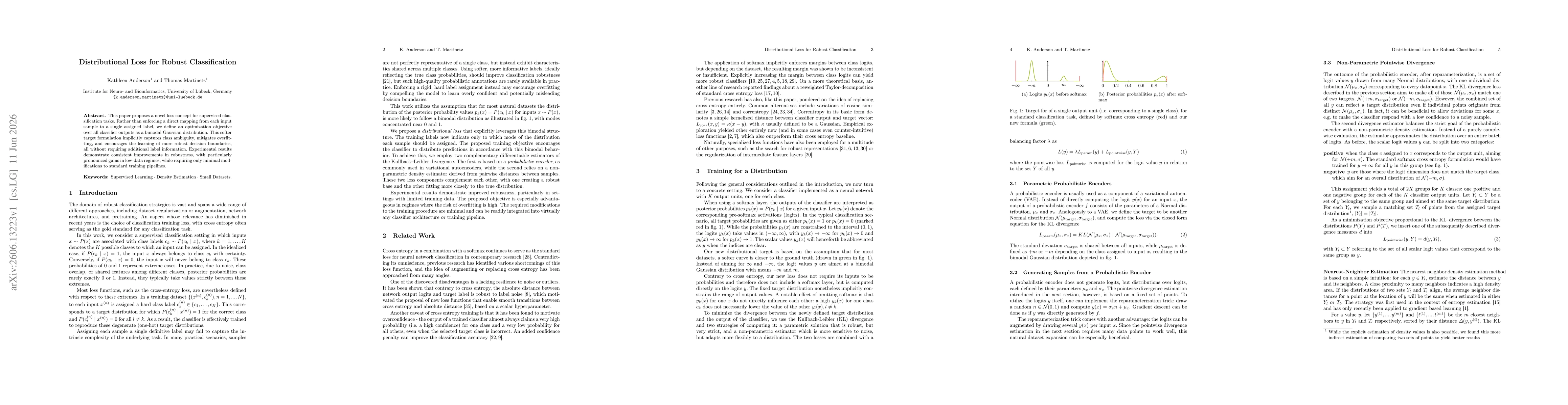 Thumbnail for Distributional Loss for Robust Classification