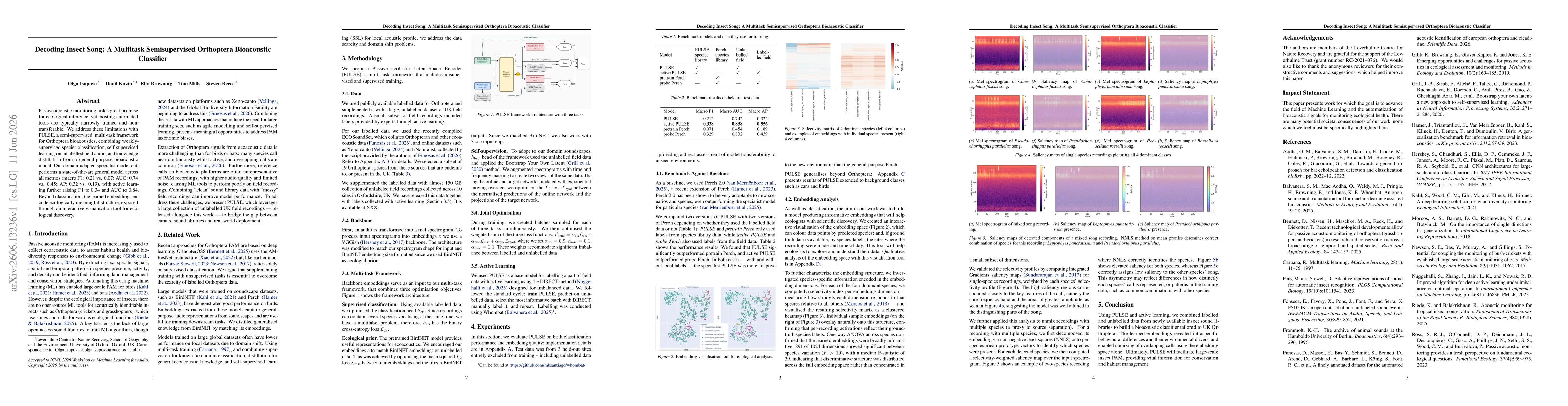 Thumbnail for Decoding Insect Song: A Multitask Semisupervised Orthoptera Bioacoustic Classifier