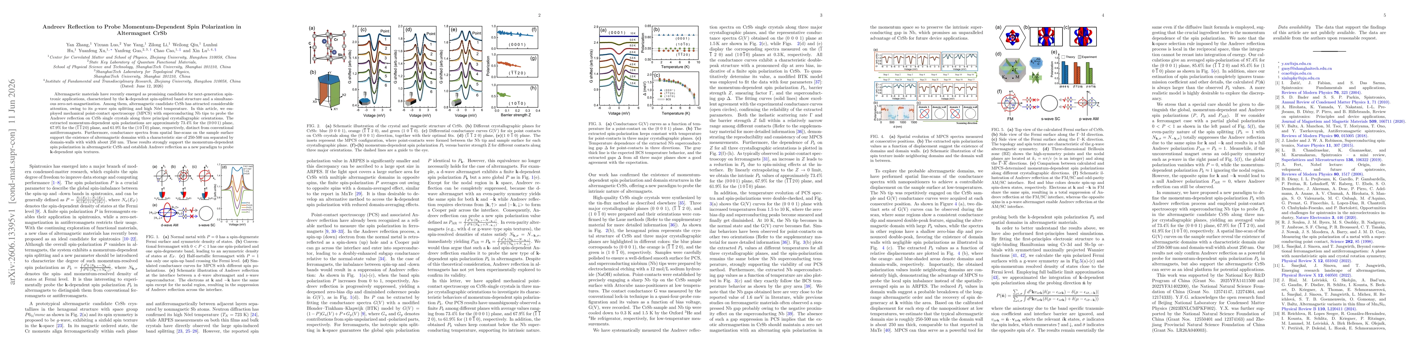 Thumbnail for Andreev Reflection to Probe Momentum-Dependent Spin Polarization in Altermagnet CrSb
