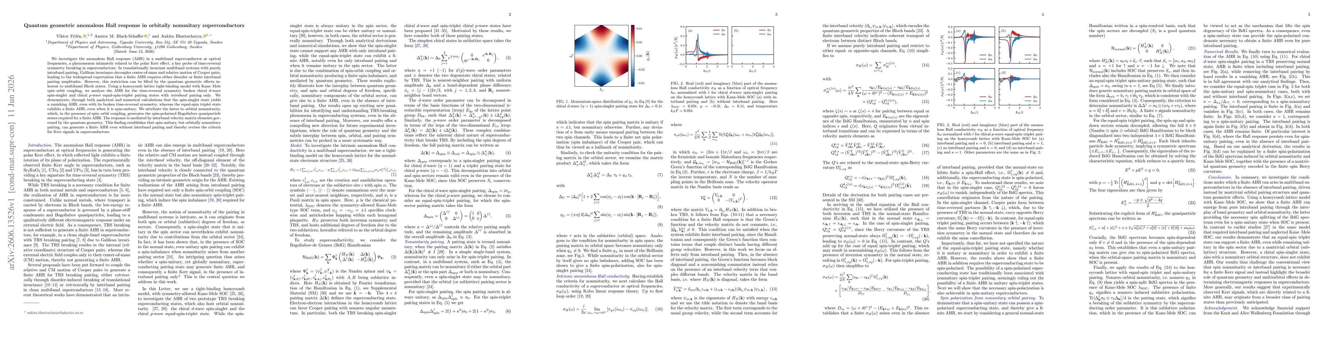 Thumbnail for Quantum geometric anomalous Hall response in orbitally nonunitary superconductors
