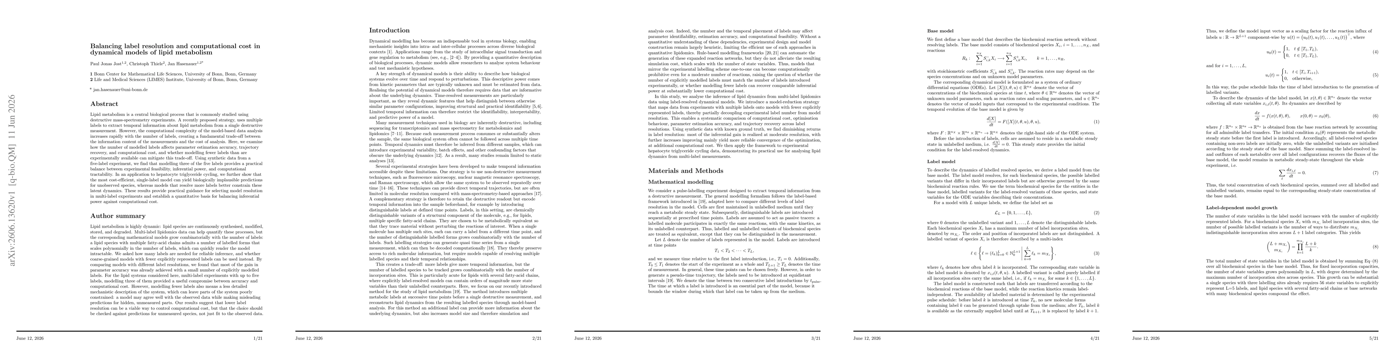 Thumbnail for Balancing label resolution and computational cost in dynamical models of lipid metabolism