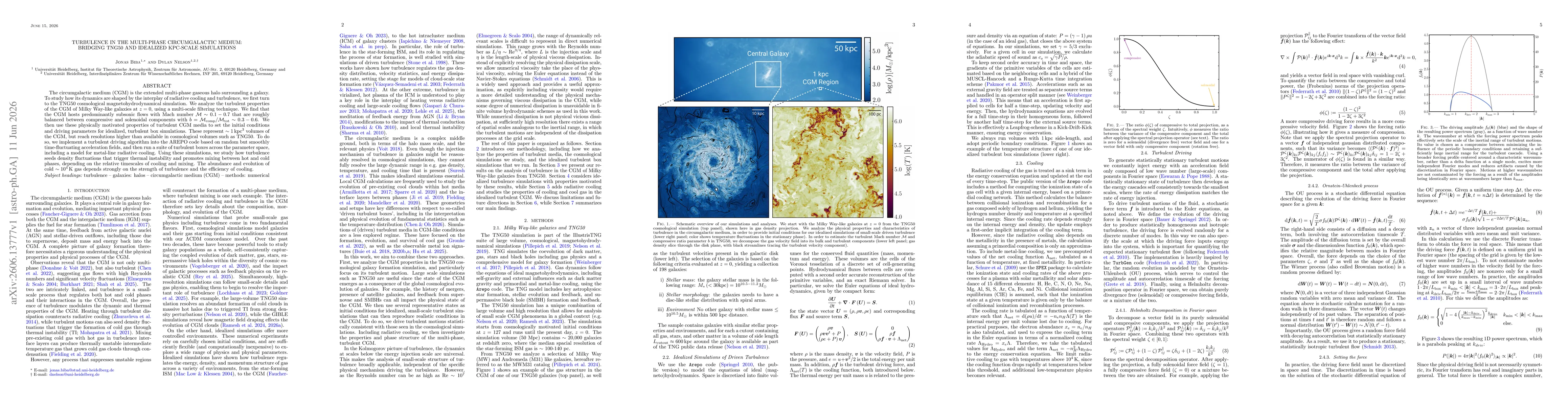 Thumbnail for Turbulence in the multi-phase circumgalactic medium: bridging TNG50 and idealized kpc-scale simulations