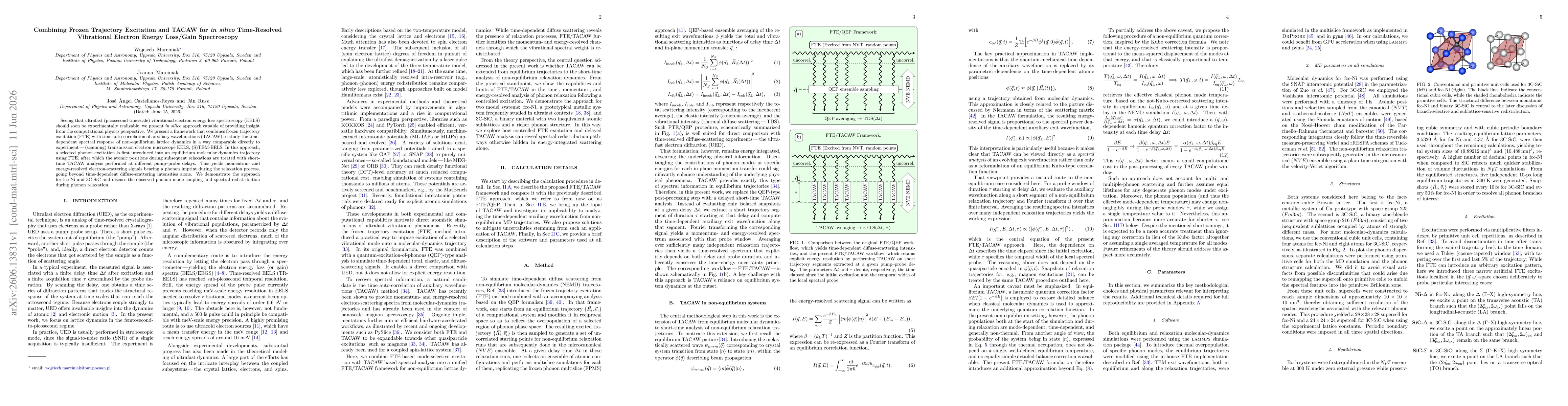 Thumbnail for Combining Frozen Trajectory Excitation and TACAW for in silico Time-Resolved Vibrational Electron Energy Loss/Gain Spectroscopy