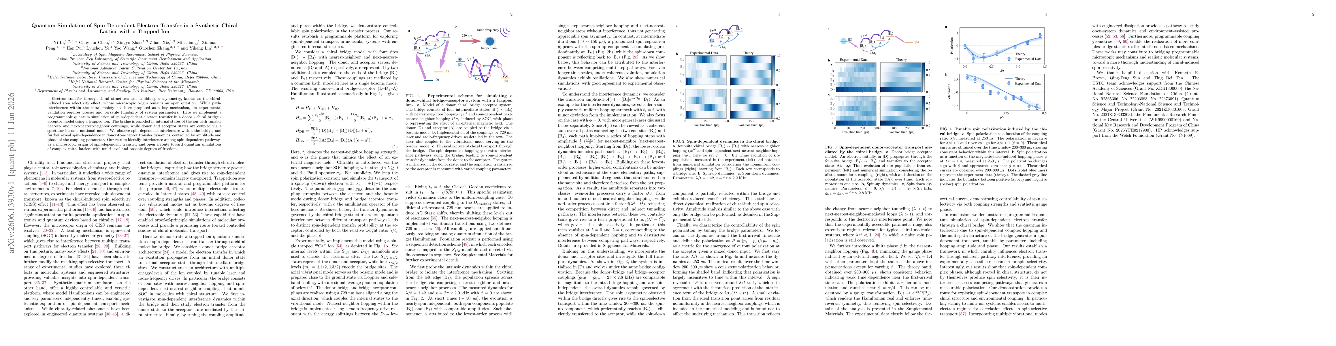 Thumbnail for Quantum Simulation of Spin-Dependent Electron Transfer in a Synthetic Chiral Lattice with a Trapped Ion