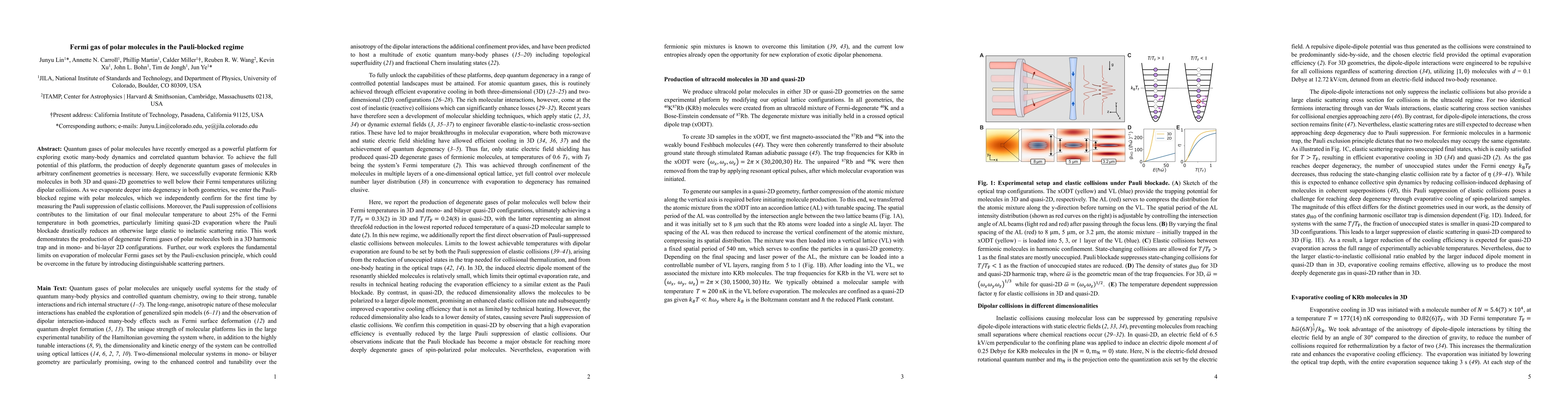 Thumbnail for Fermi gas of polar molecules in the Pauli-blocked regime