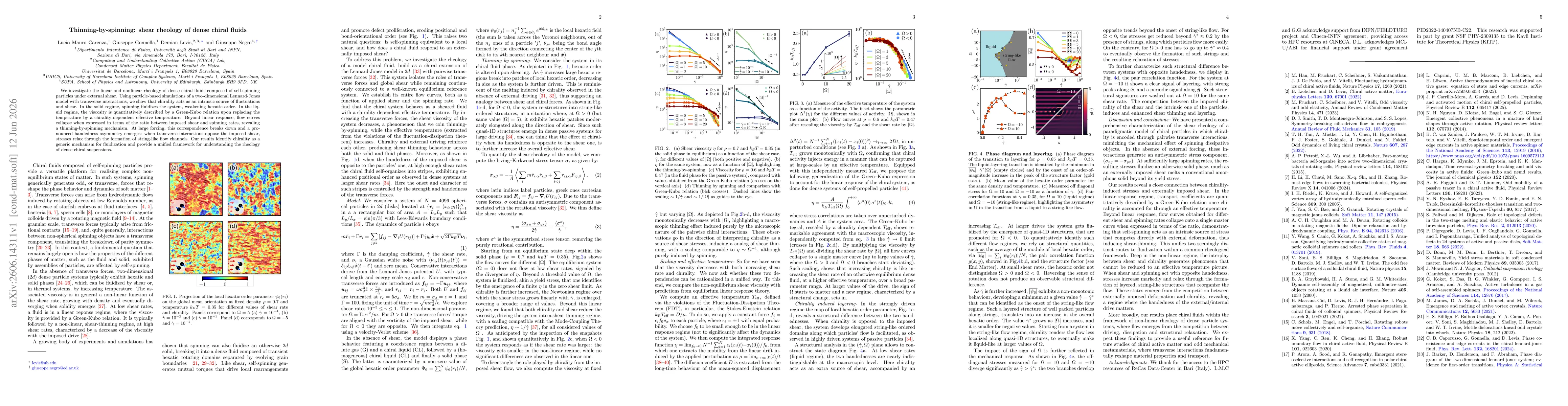 Thumbnail for Thinning-by-spinning: shear rheology of dense chiral fluids