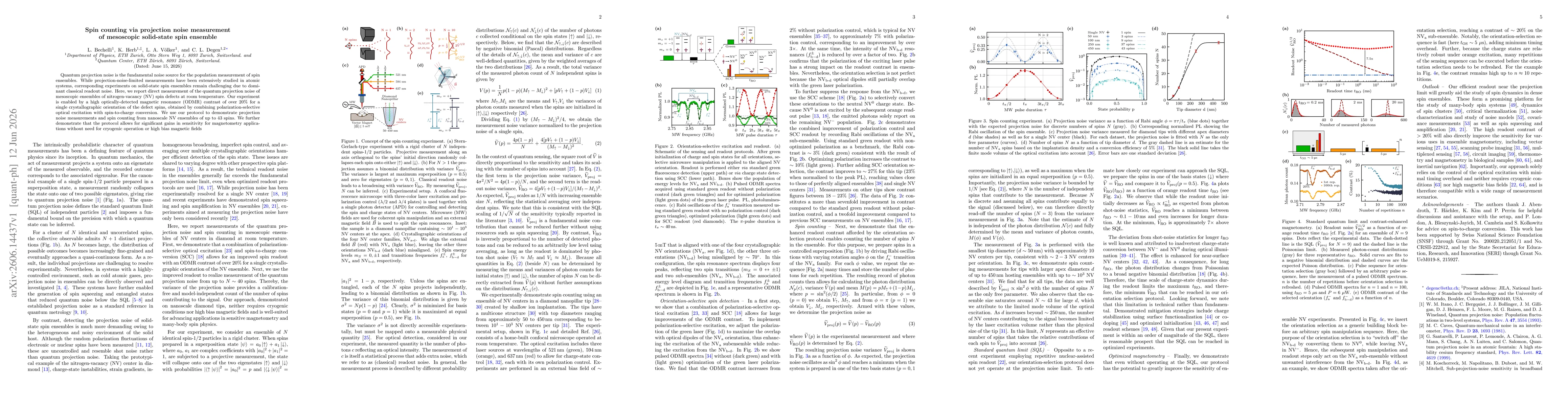 Thumbnail for Spin counting via projection noise measurement of mesoscopic solid-state spin ensemble
