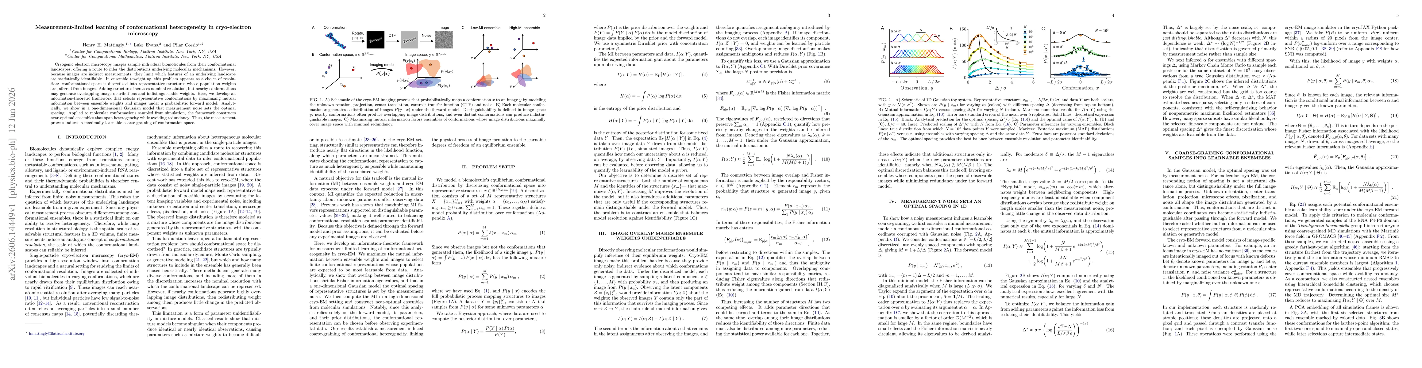 Thumbnail for Measurement-limited learning of conformational heterogeneity in cryo-electron microscopy