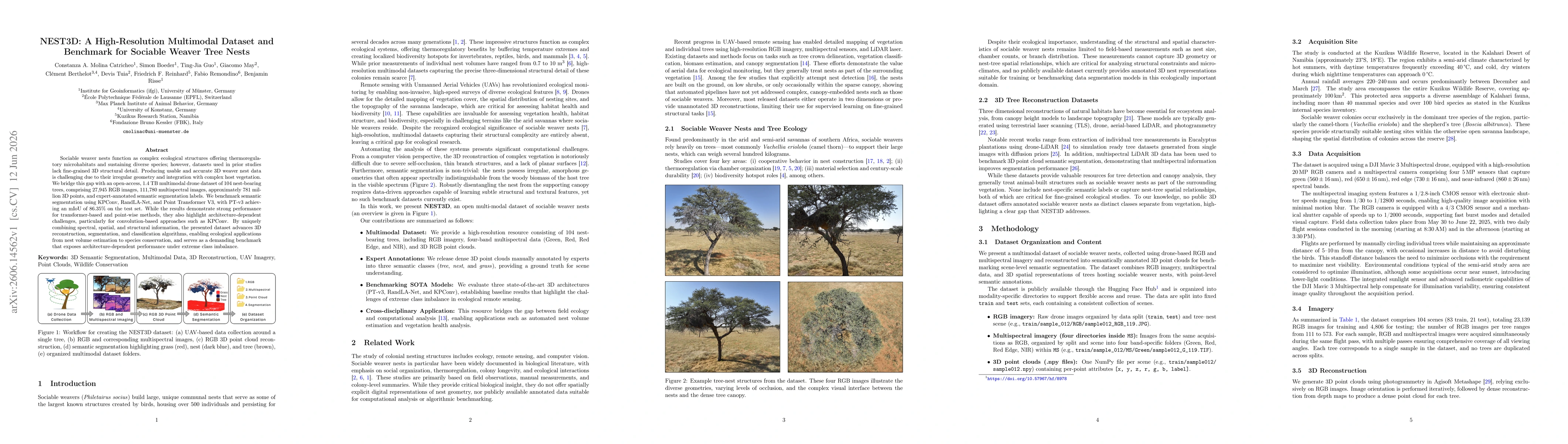 Thumbnail for NEST3D: A High-Resolution Multimodal Dataset of Sociable Weaver Tree Nests