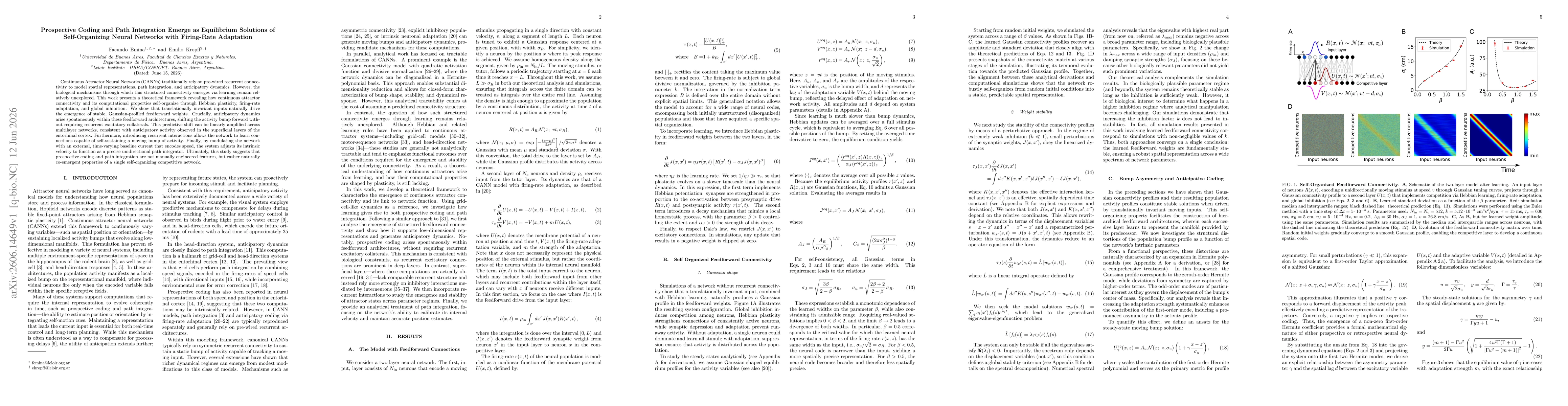Thumbnail for Prospective Coding and Path Integration Emerge as Equilibrium Solutions of Self-Organizing Neural Networks with Firing-Rate Adaptation