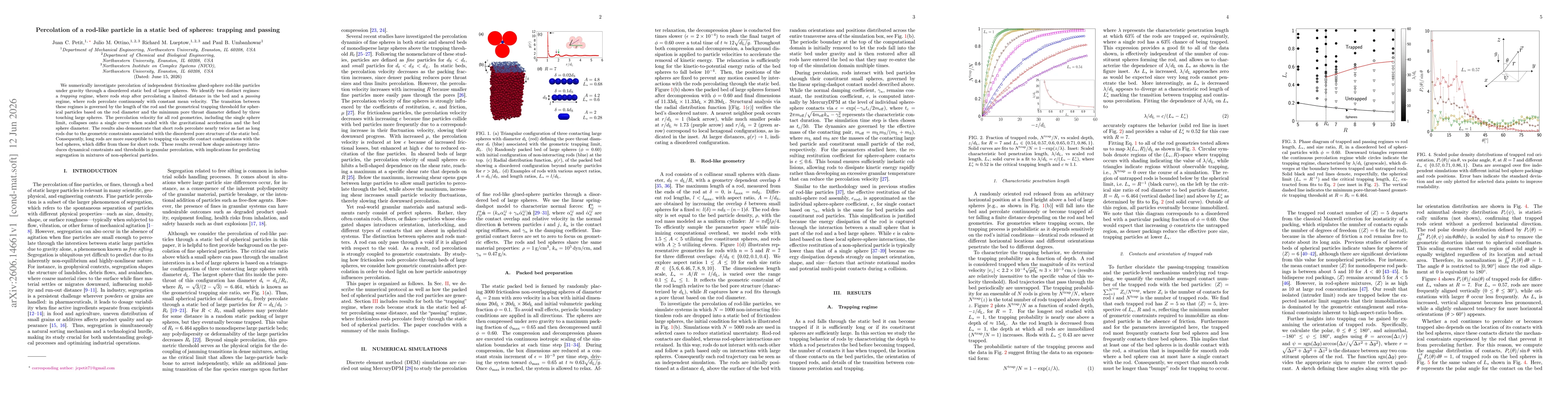 Thumbnail for Percolation of a rod-like particle in a static bed of spheres: trapping and passing