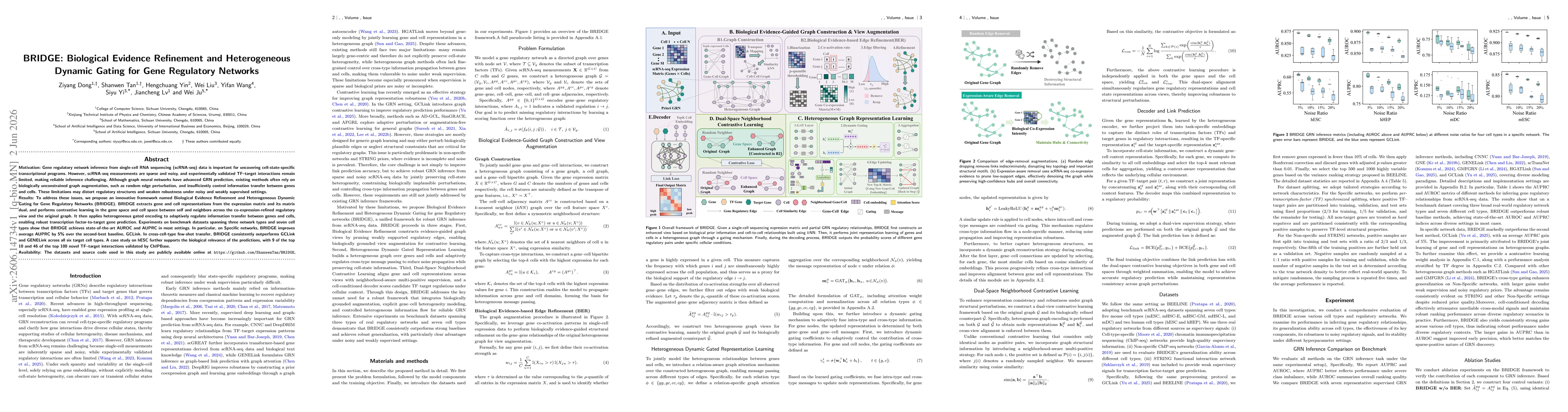 Thumbnail for BRIDGE: Biological Evidence Refinement and Heterogeneous Dynamic Gating for Gene Regulatory Networks