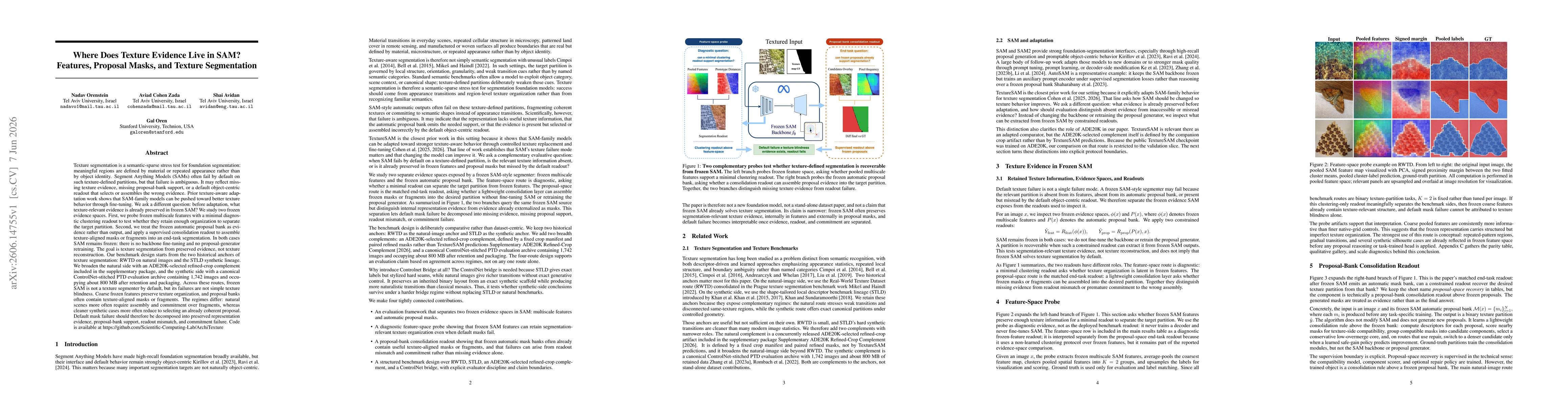 Thumbnail for Where Does Texture Evidence Live in SAM? Features, Proposal Masks, and Texture Segmentation