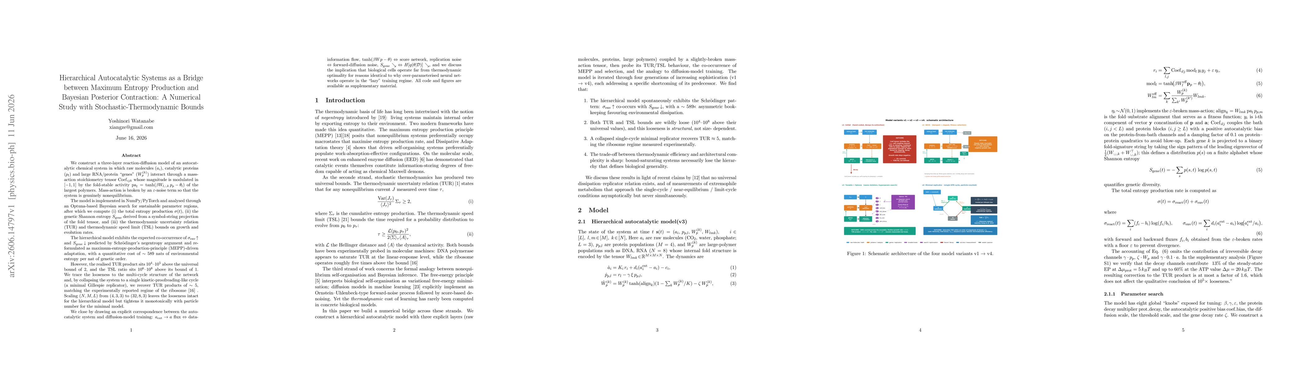 Thumbnail for Hierarchical Autocatalytic Systems as a Bridge between Maximum Entropy Production and Bayesian Posterior Contraction: A Numerical Study with Stochastic-Thermodynamic Bounds