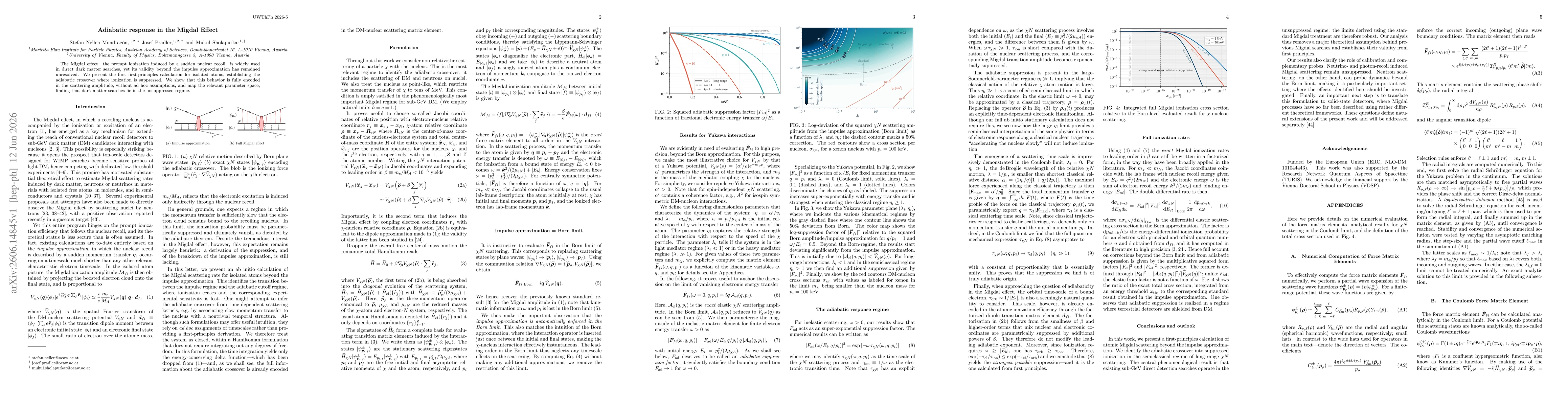 Thumbnail for Adiabatic response in the Migdal Effect