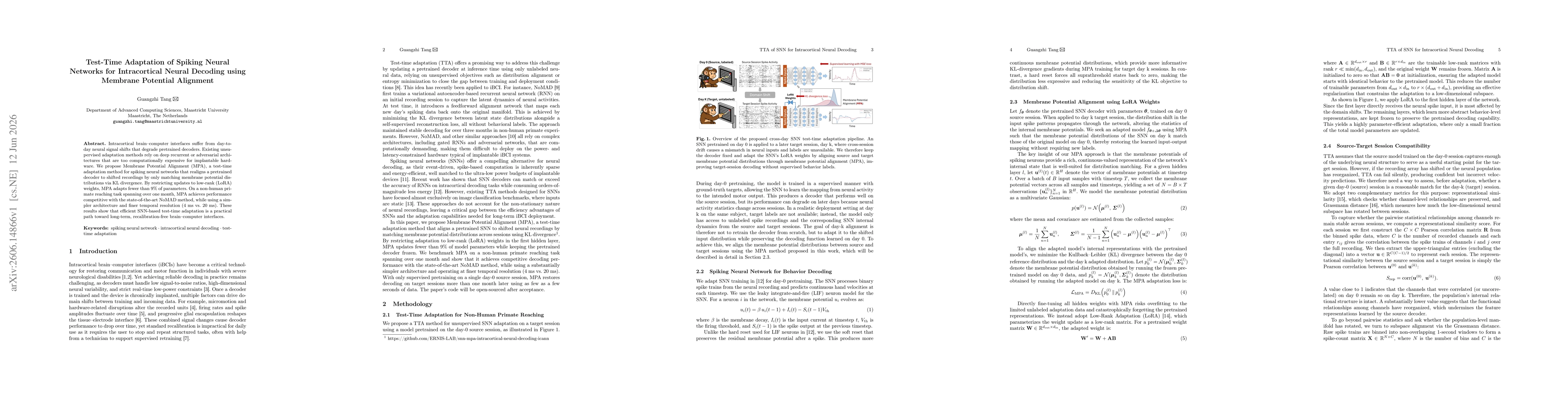 Thumbnail for Test-Time Adaptation of Spiking Neural Networks for Intracortical Neural Decoding using Membrane Potential Alignment