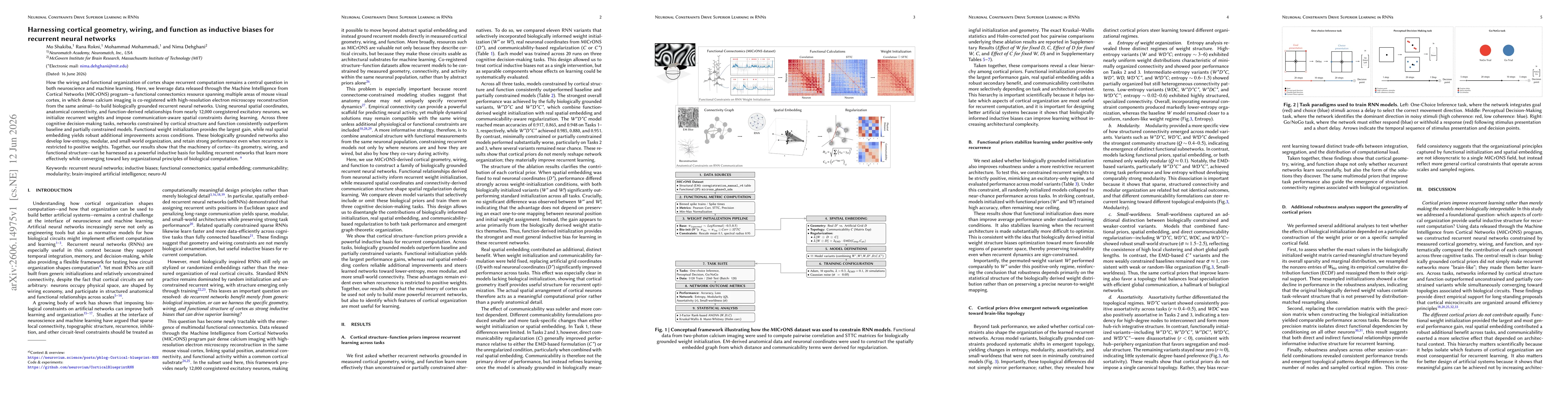 Thumbnail for Harnessing cortical geometry, wiring, and function as inductive biases for recurrent neural networks