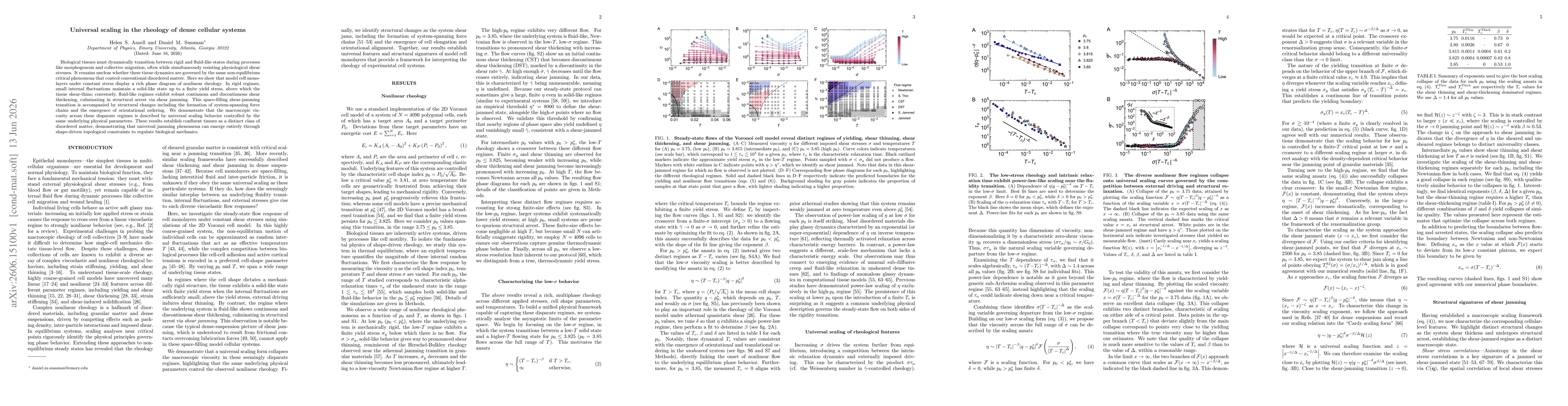 Thumbnail for Universal scaling in the rheology of dense cellular systems