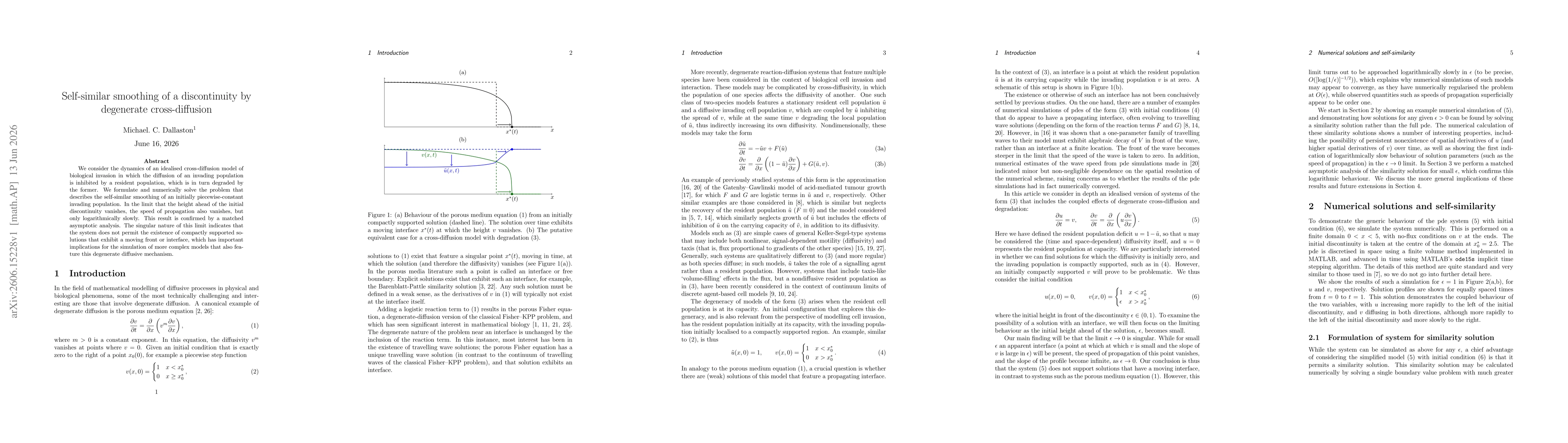 Thumbnail for Self-similar smoothing of a discontinuity by degenerate cross-diffusion