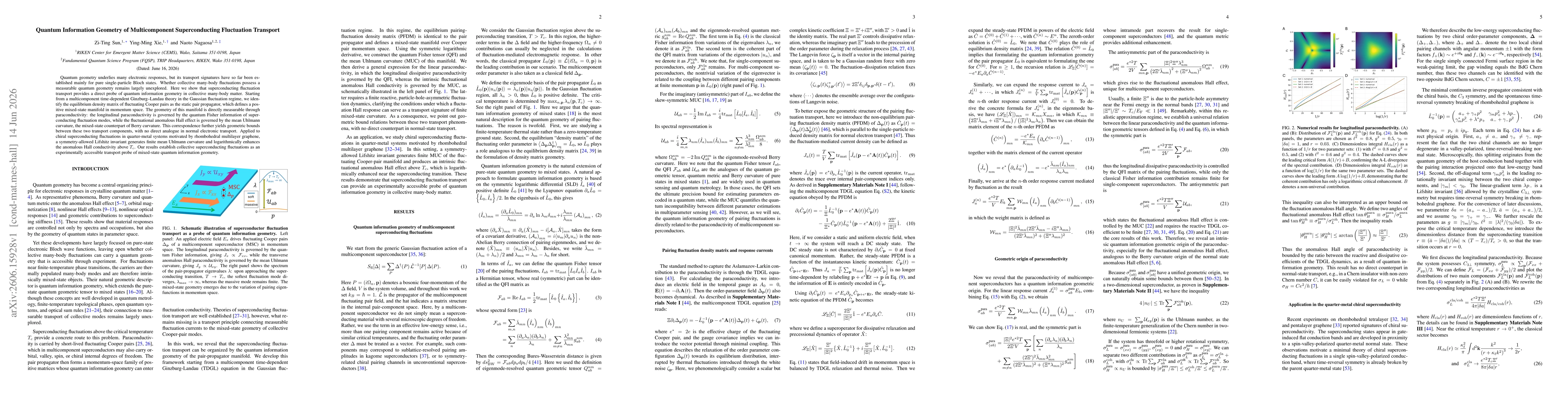 Thumbnail for Quantum Information Geometry of Multicomponent Superconducting Fluctuation Transport