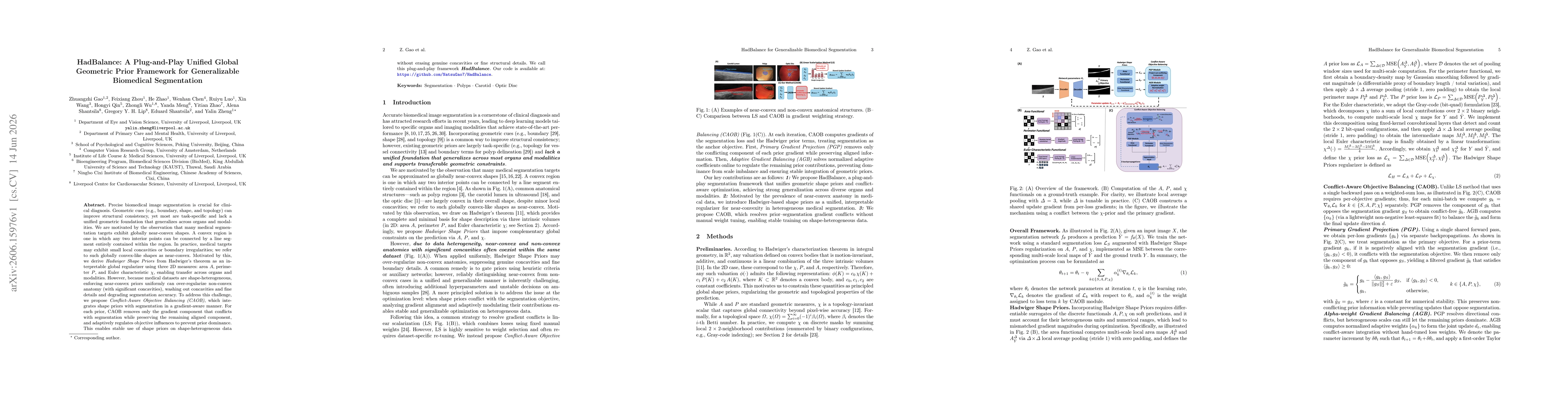 Thumbnail for HadBalance: A Plug-and-Play Unified Global Geometric Prior Framework for Generalizable Biomedical Segmentation