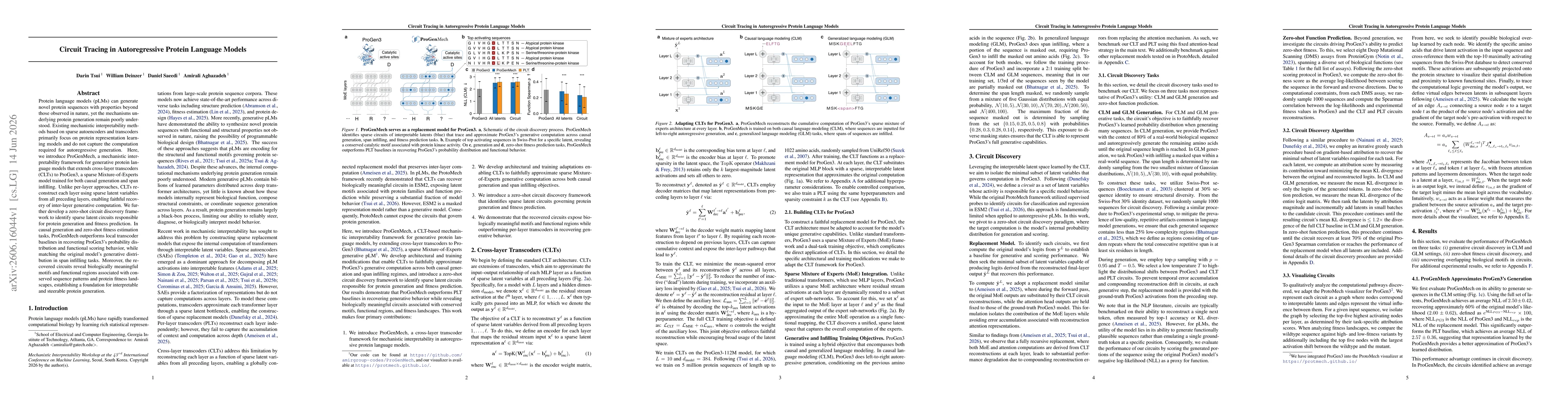 Thumbnail for Circuit Tracing in Autoregressive Protein Language Models