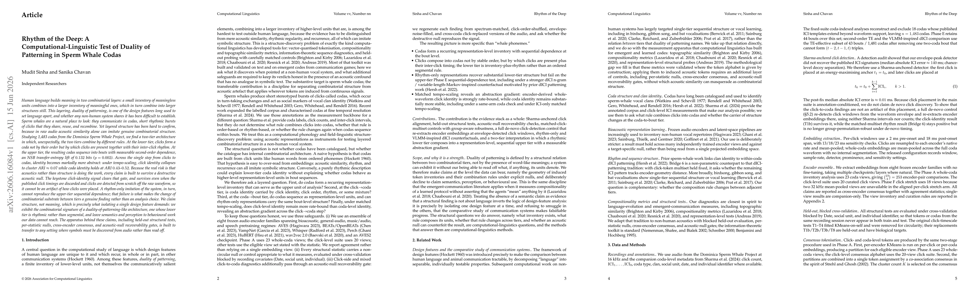 Thumbnail for Rhythm of the Deep: A Computational-Linguistic Test of Duality of Patterning in Sperm Whale Codas