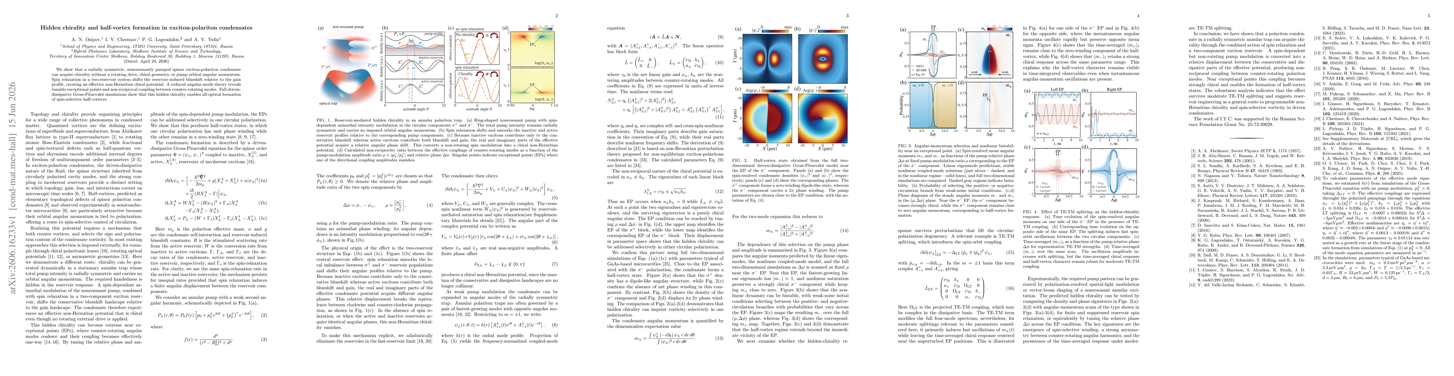 Thumbnail for Hidden chirality and half-vortex formation in exciton-polariton condensates