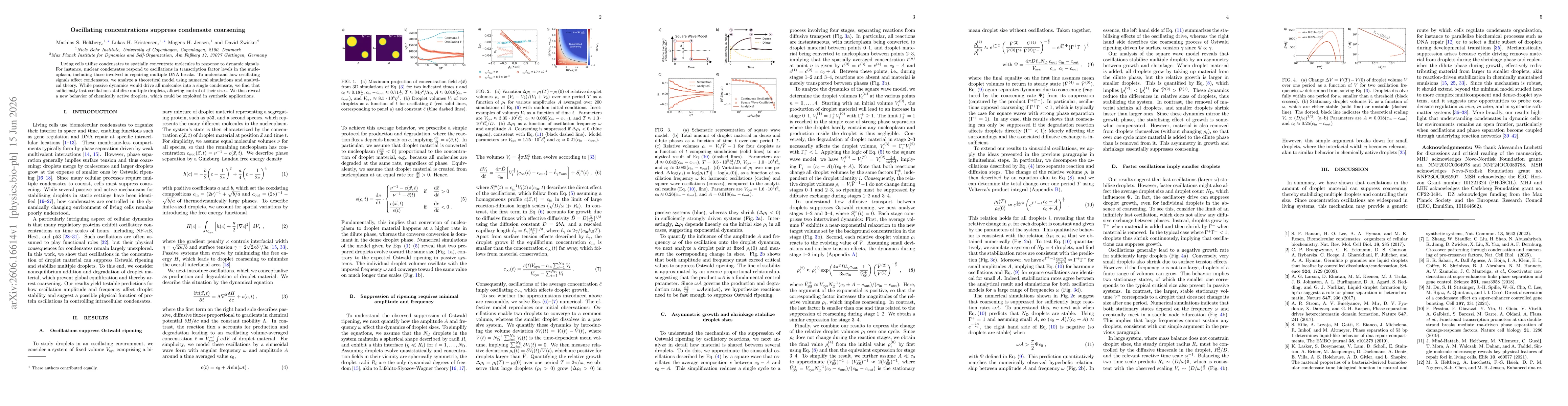 Thumbnail for Oscillating concentrations suppress condensate coarsening