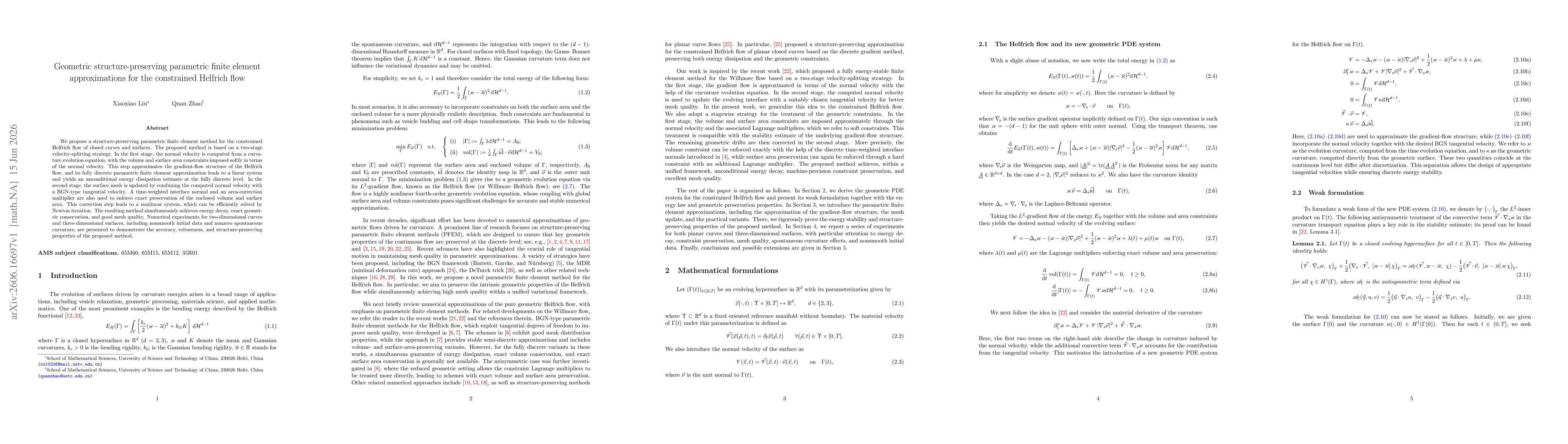 Thumbnail for Geometric structure-preserving parametric finite element approximations for the constrained Helfrich flow