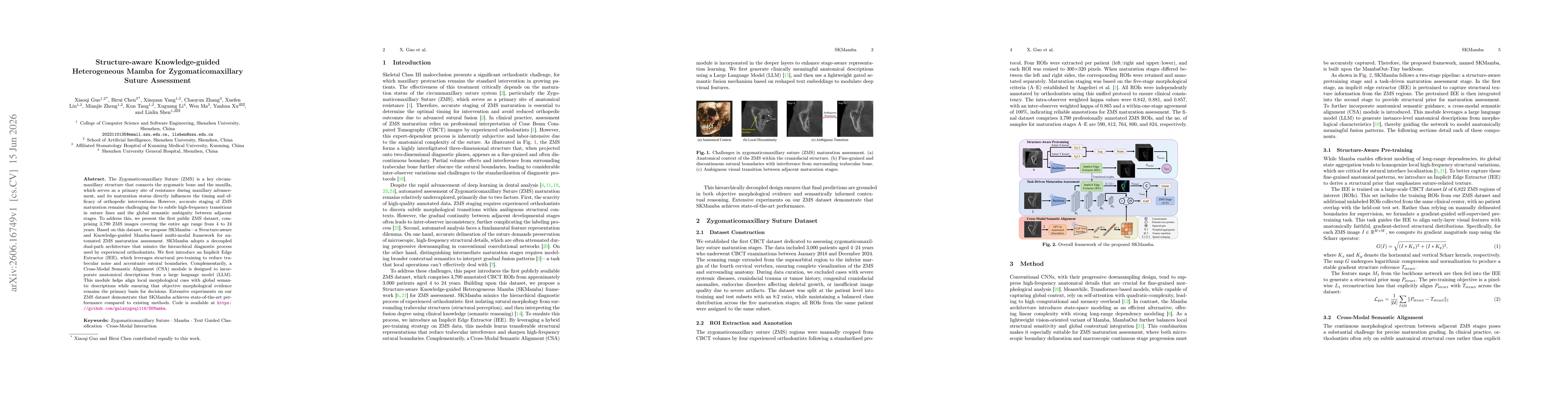 Thumbnail for Structure-aware Knowledge-guided Heterogeneous Mamba for Zygomaticomaxillary Suture Assessment