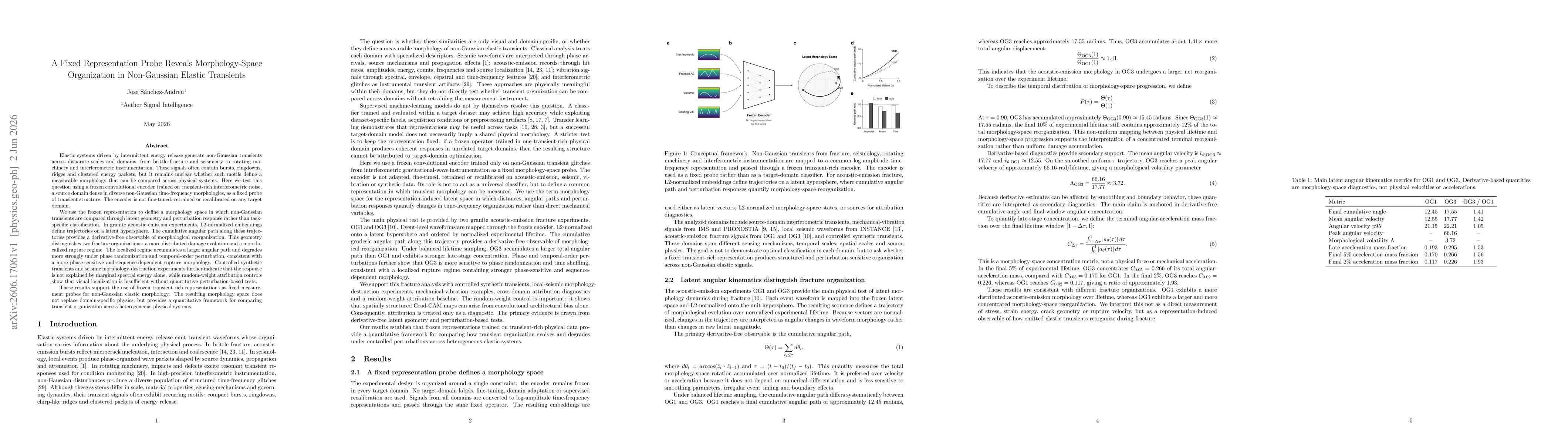 Thumbnail for A Fixed Representation Probe Reveals Morphology-Space Organization in Non-Gaussian Elastic Transients